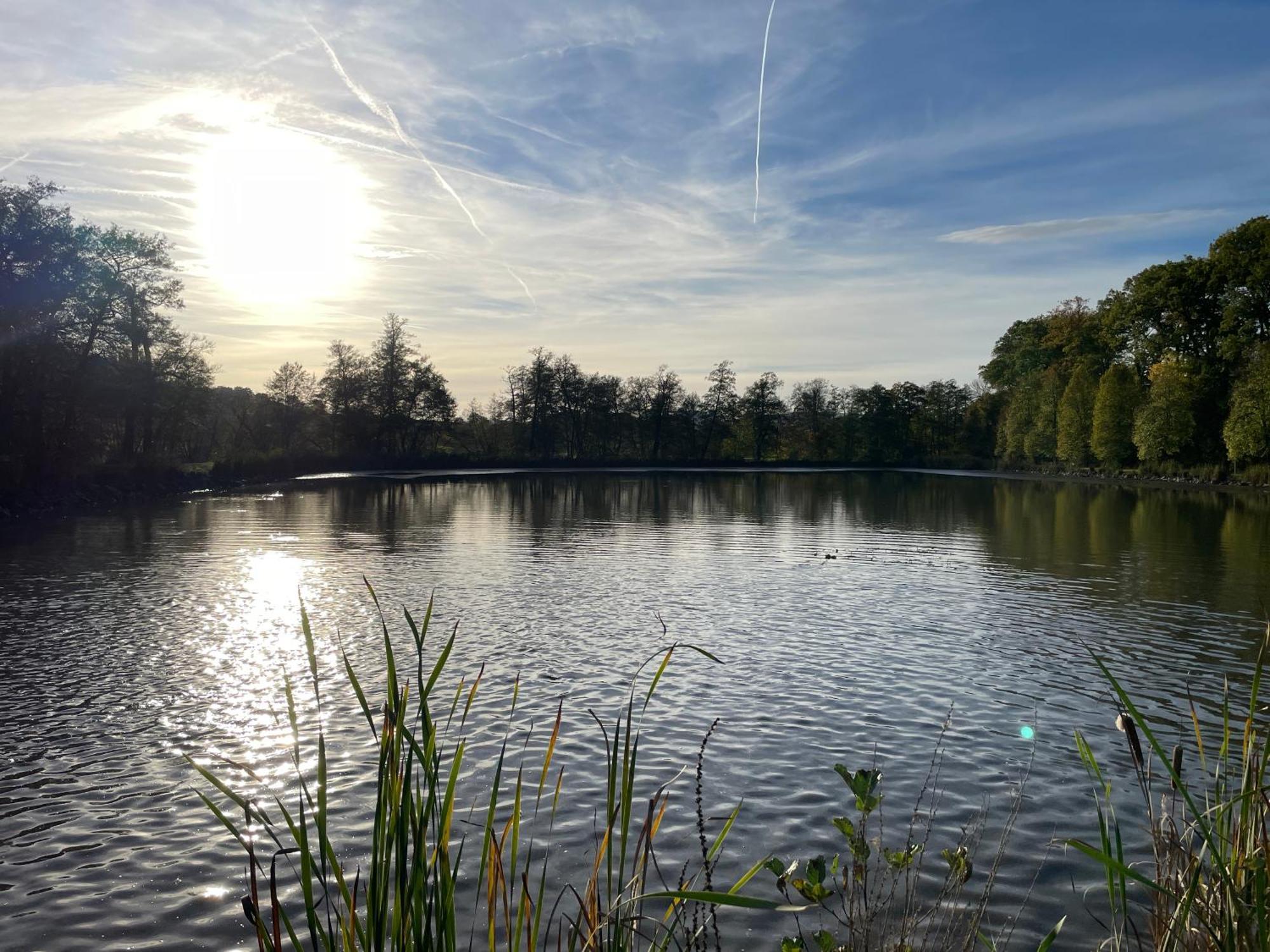 Naturnahe Unterkunft In Der Burgenstadt Schlitz Ngoại thất bức ảnh