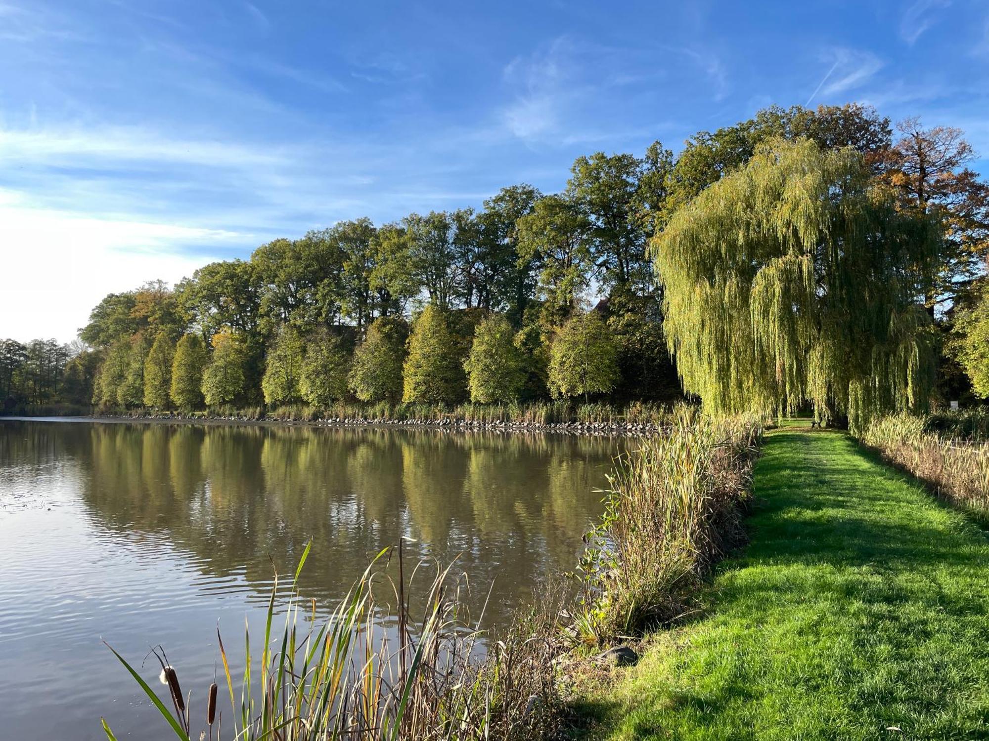 Naturnahe Unterkunft In Der Burgenstadt Schlitz Ngoại thất bức ảnh